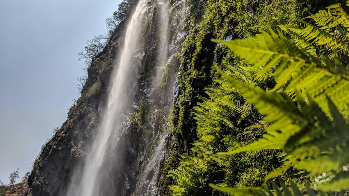 Film production workflow with camera and set operations.