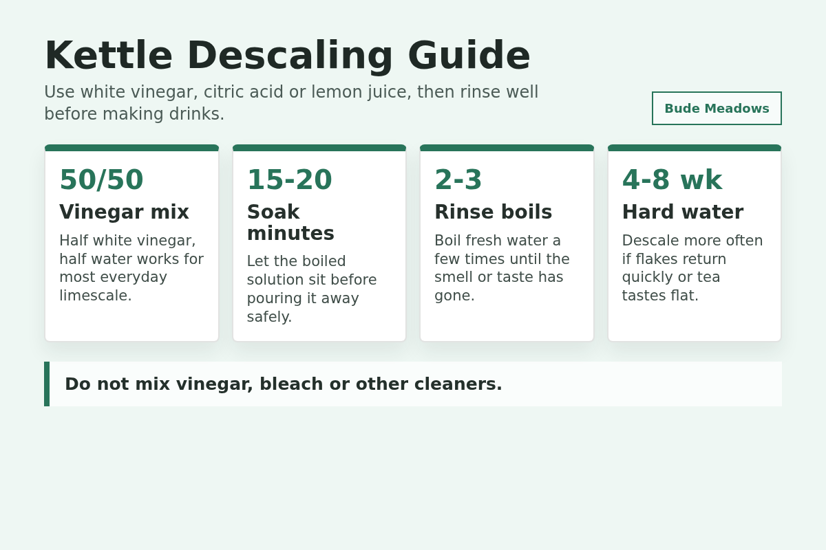 Kettle descaling guide with vinegar, citric acid, lemon and rinsing steps.