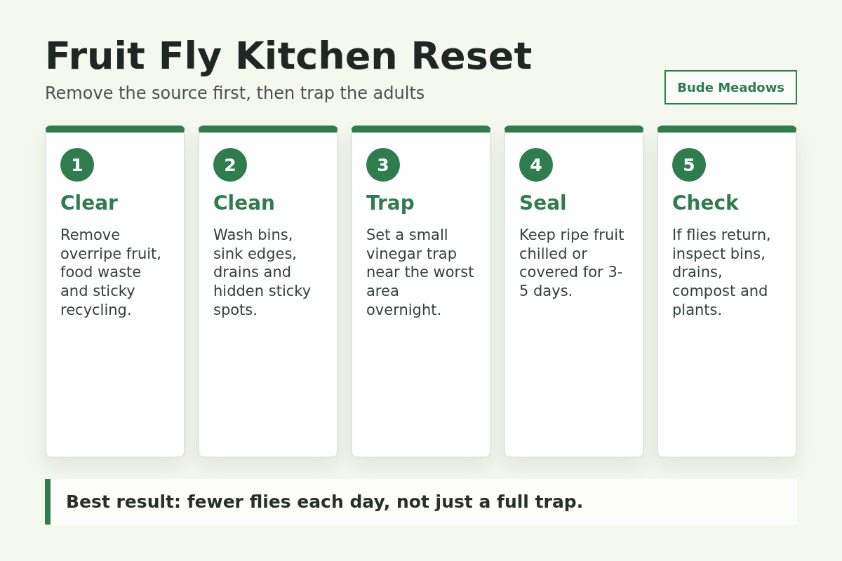 Fruit fly kitchen reset guide with clear, clean, trap, seal and check steps.