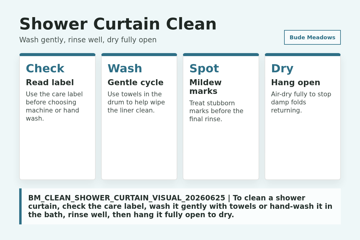 Shower Curtain Clean