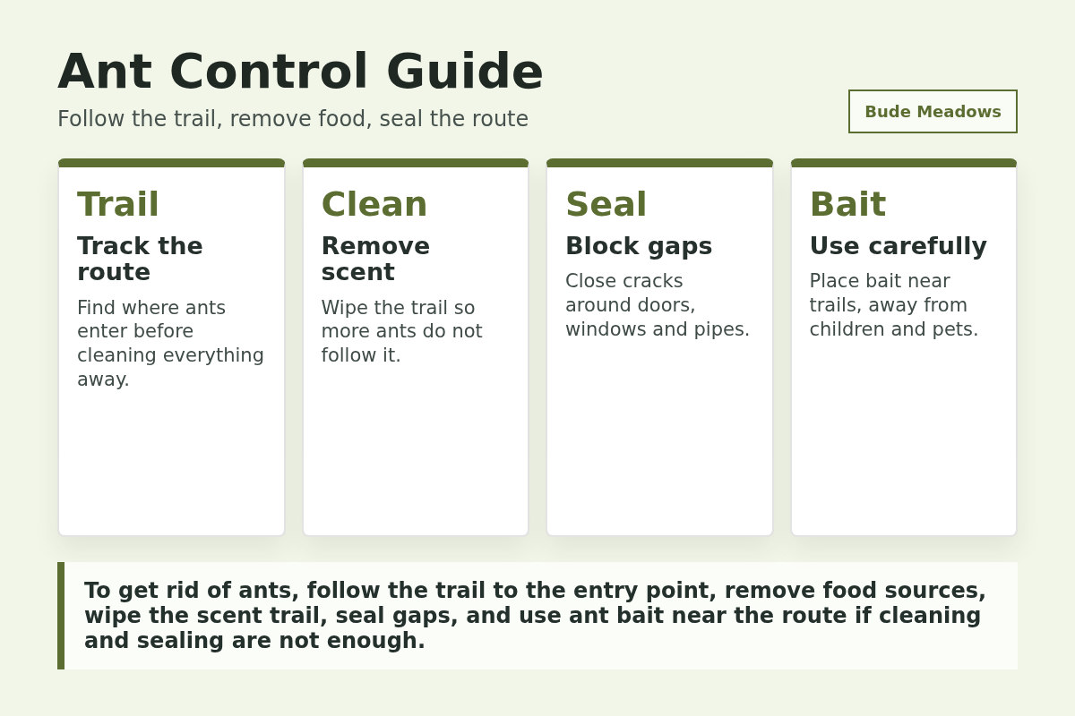 Ant Control Guide