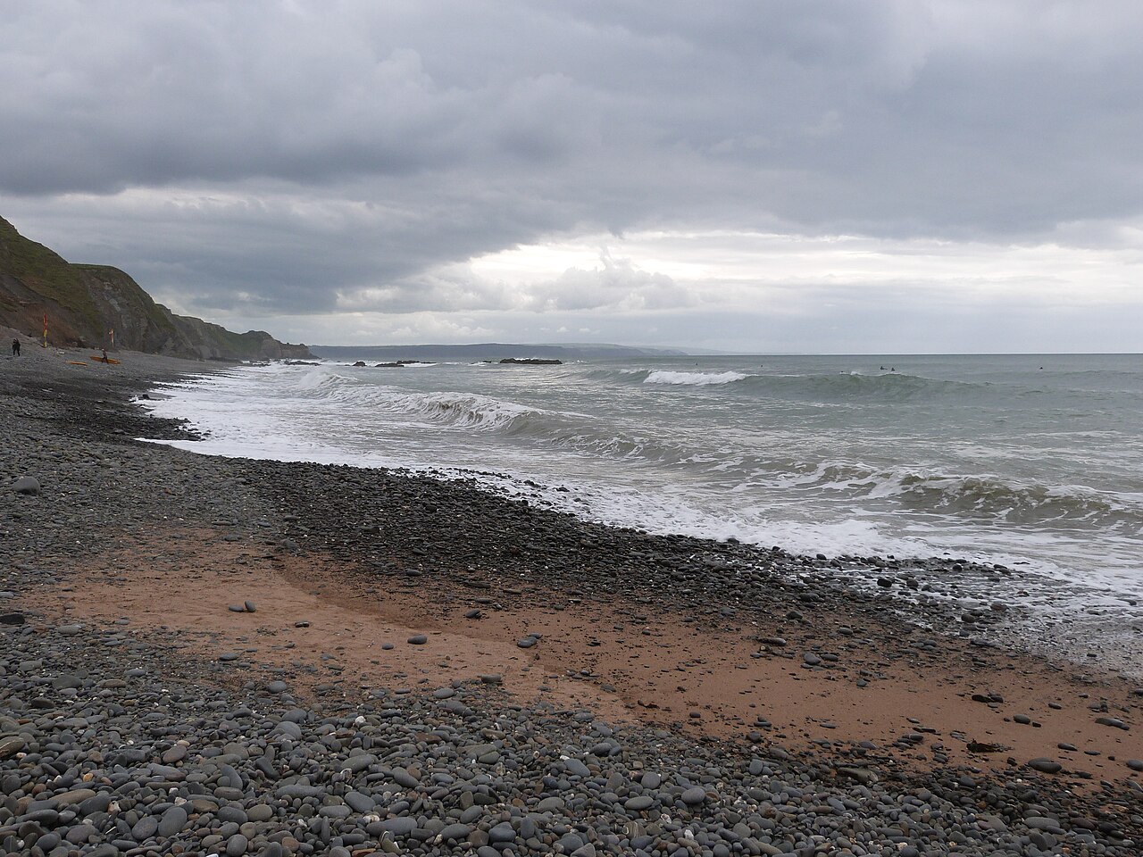 Wildlife Around Bude and Widemouth Bay: Nature Notes From the Former Budemeadows Area