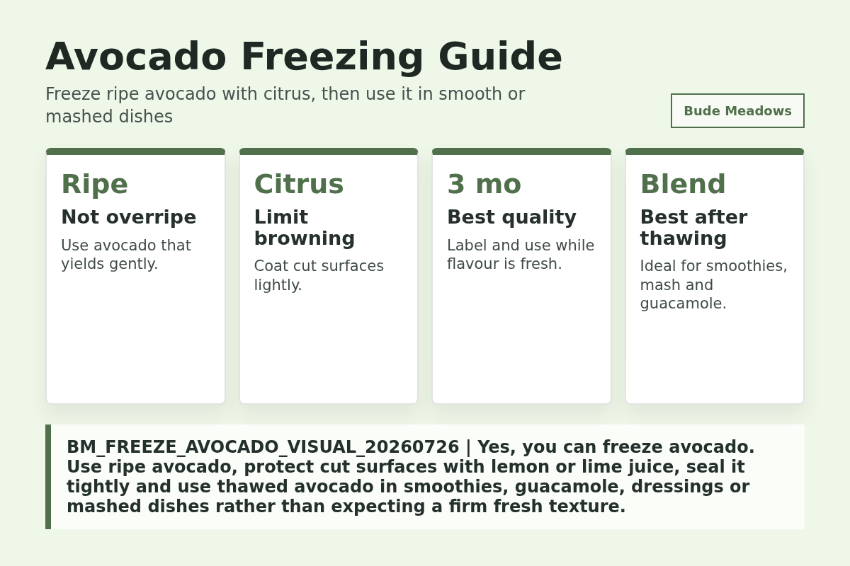 Avocado Freezing Guide