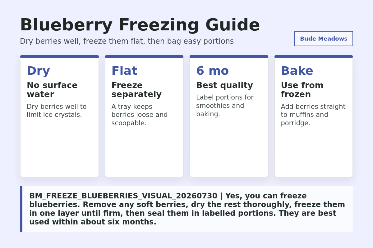 Blueberry Freezing Guide