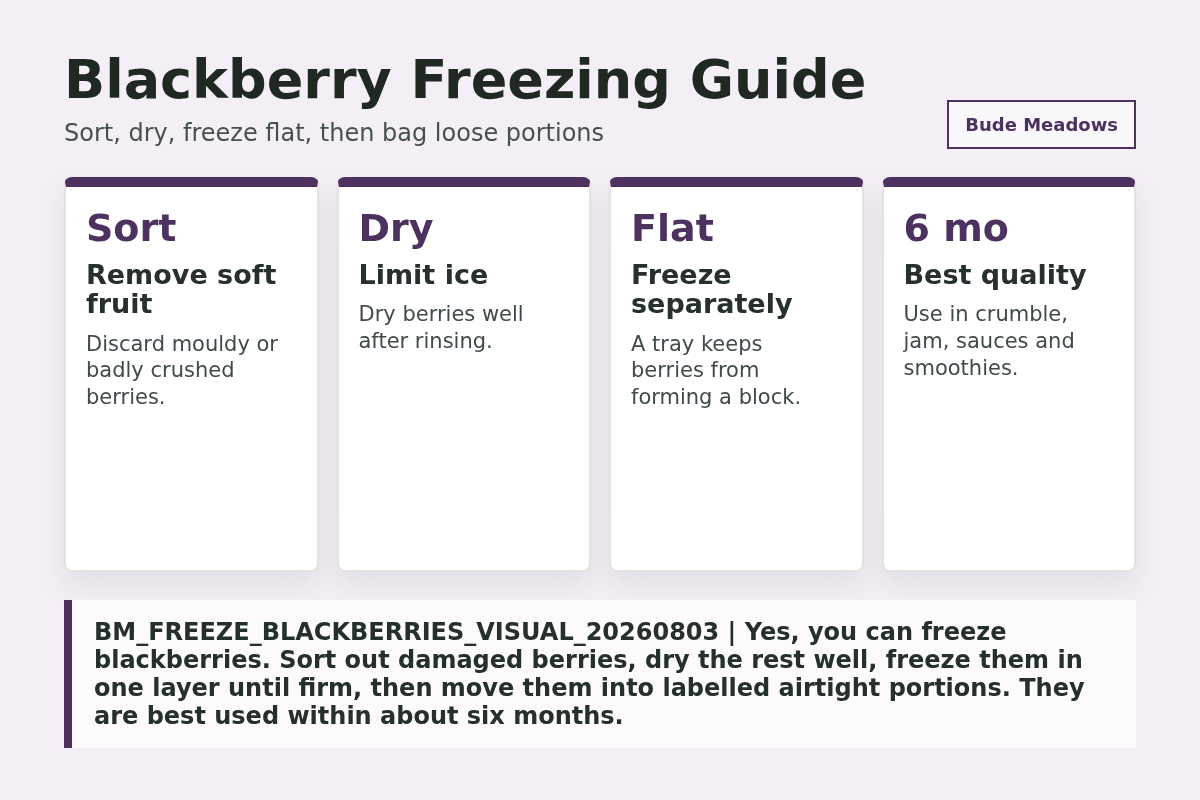 Can You Freeze Blackberries? The Best Way to Freeze Them Without a Solid Block