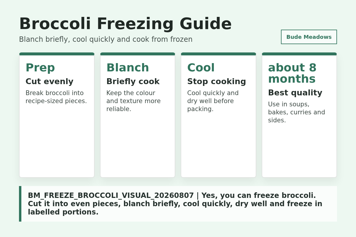 Broccoli Freezing Guide