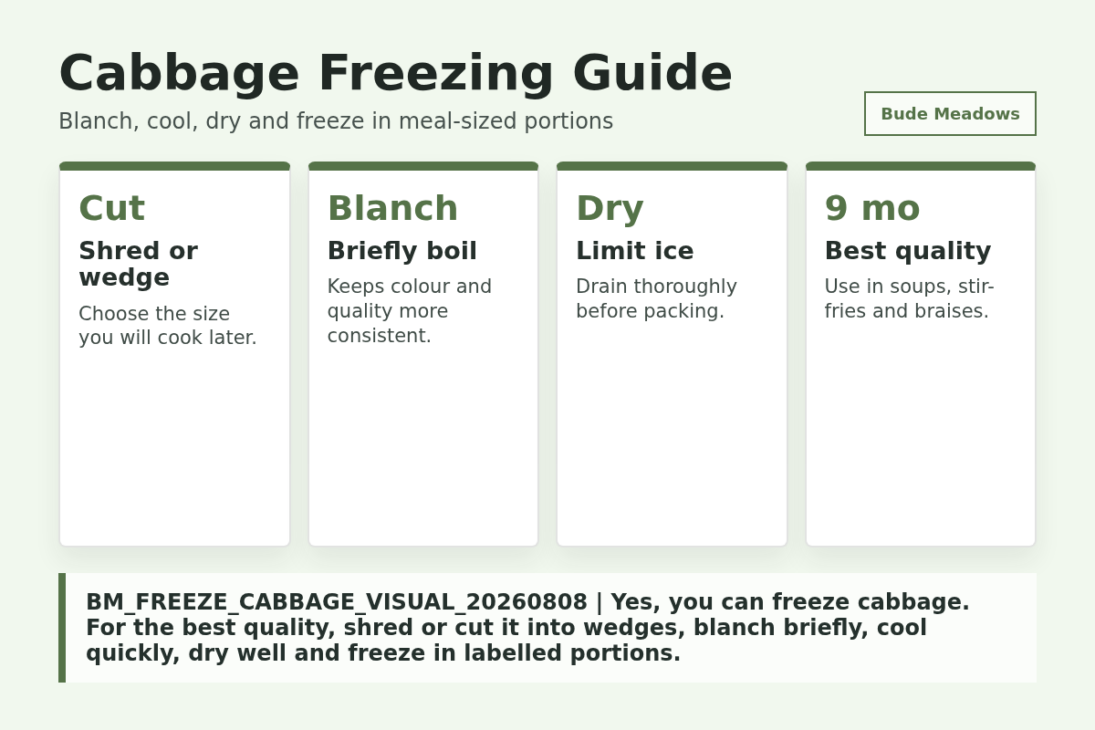 Cabbage Freezing Guide