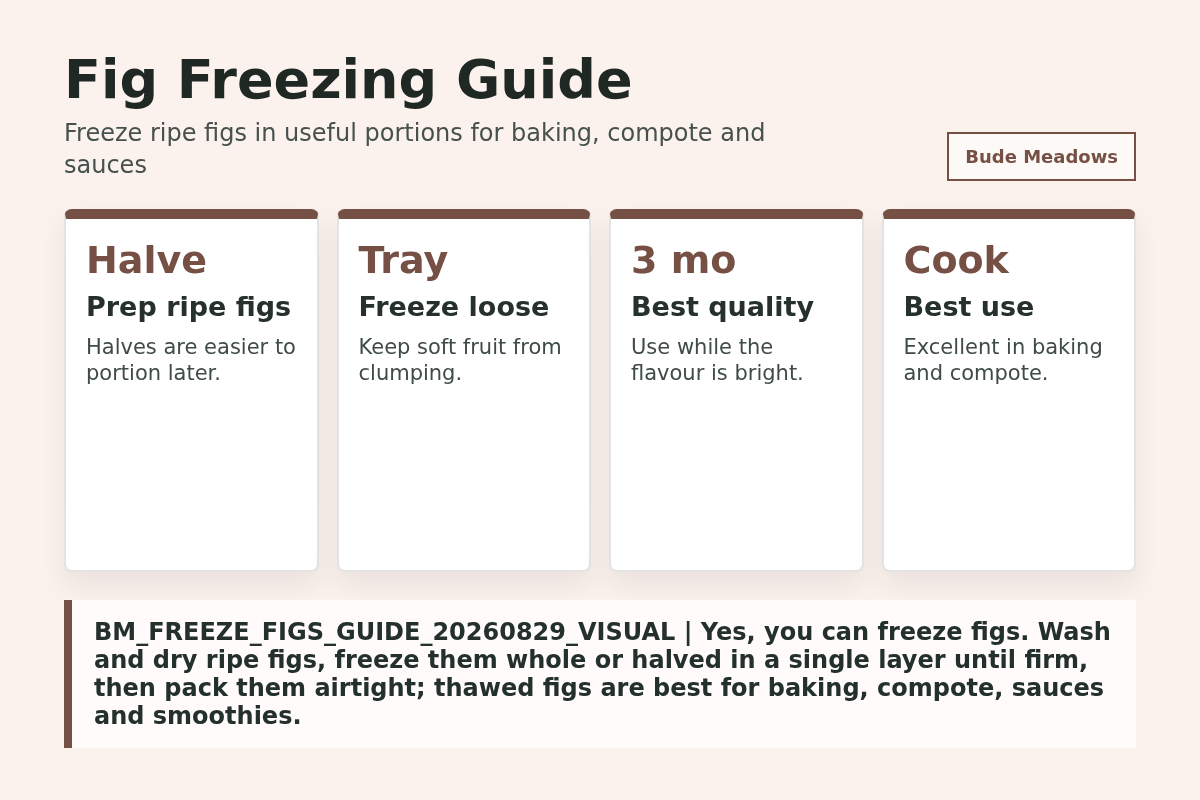 Fig Freezing Guide