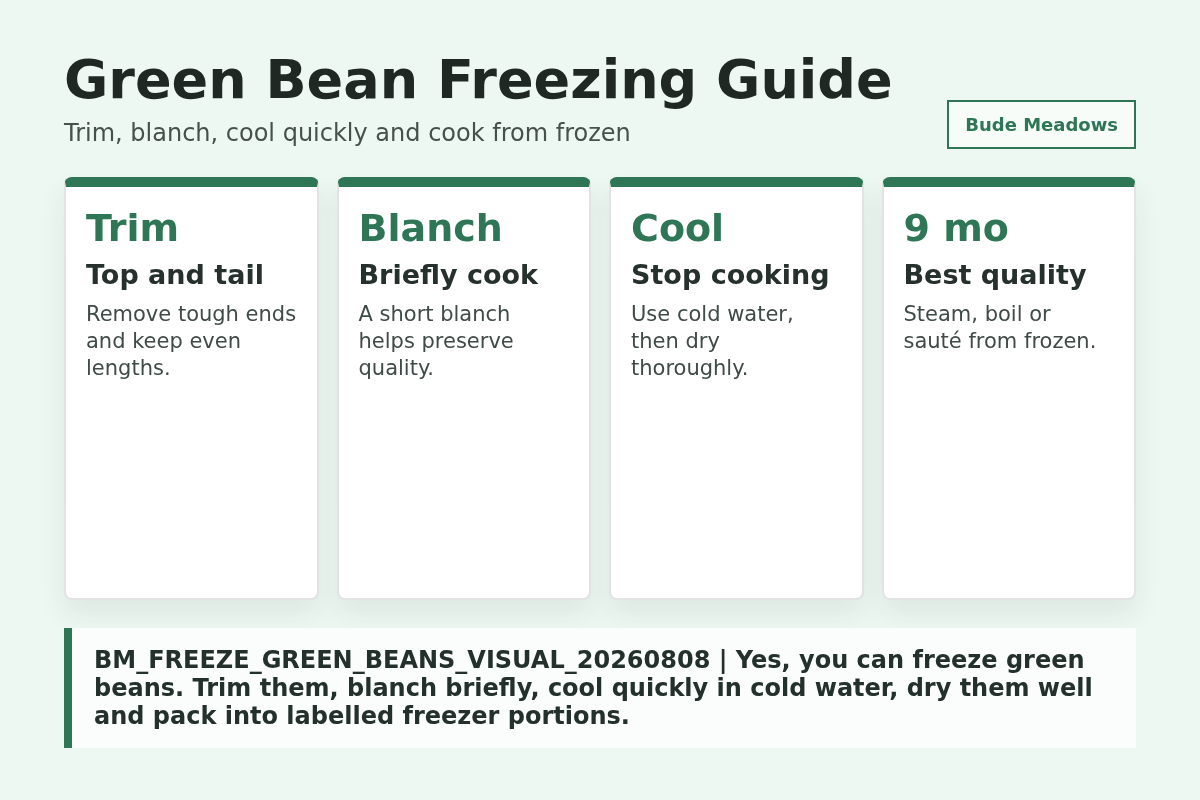Green Bean Freezing Guide