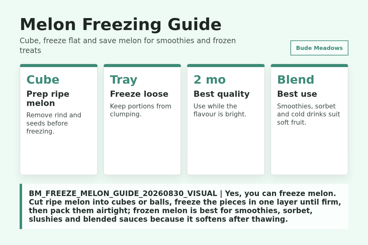 Melon Freezing Guide