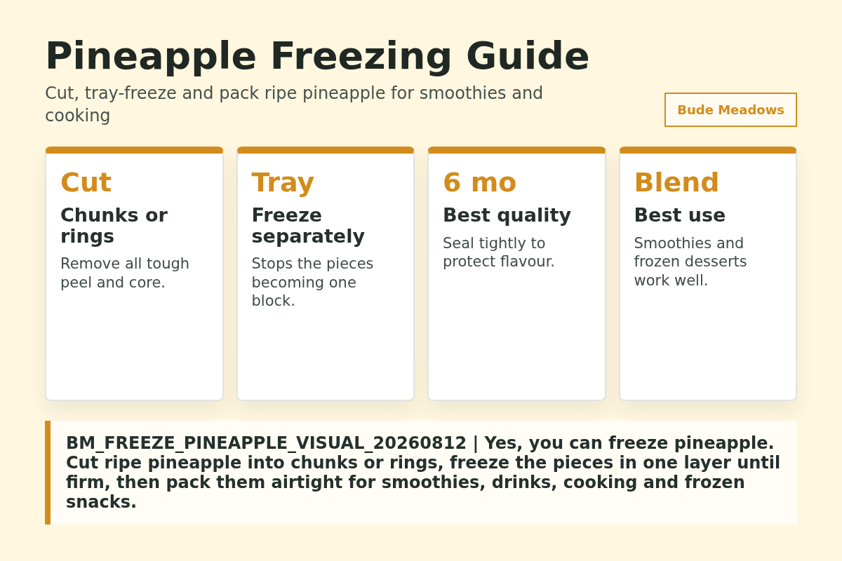 Pineapple Freezing Guide