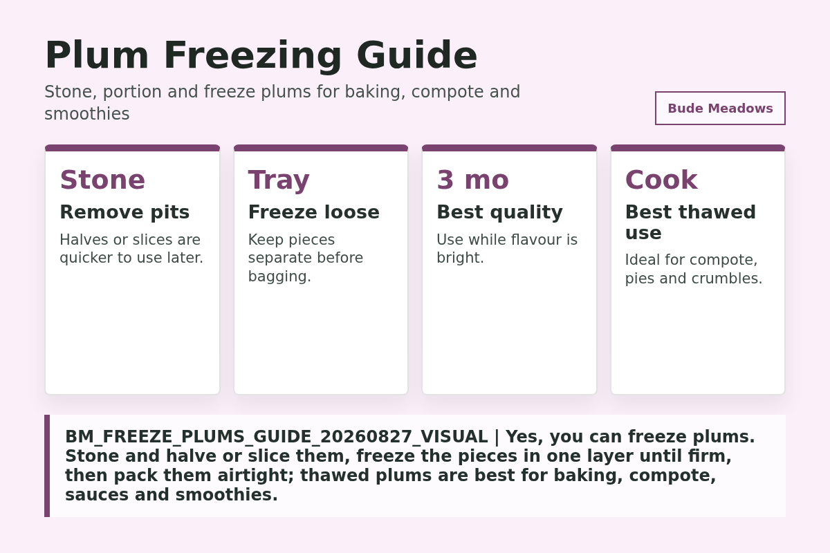 Plum Freezing Guide