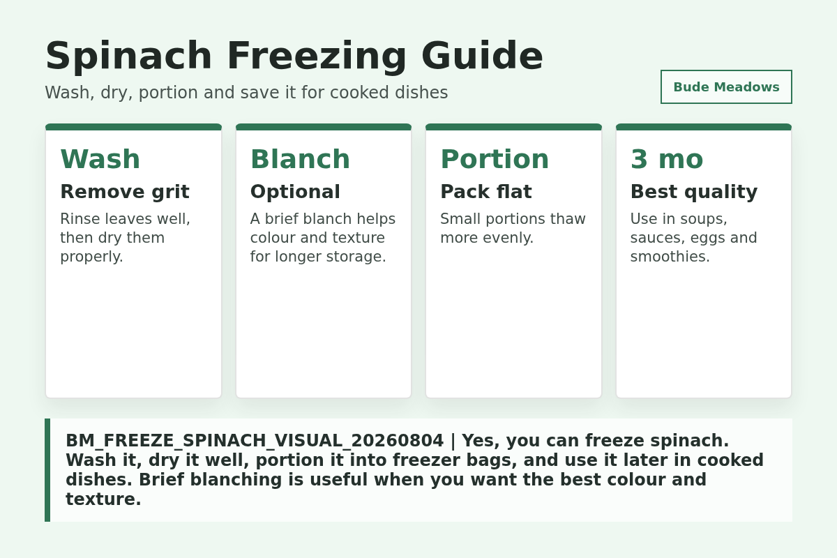 Spinach Freezing Guide