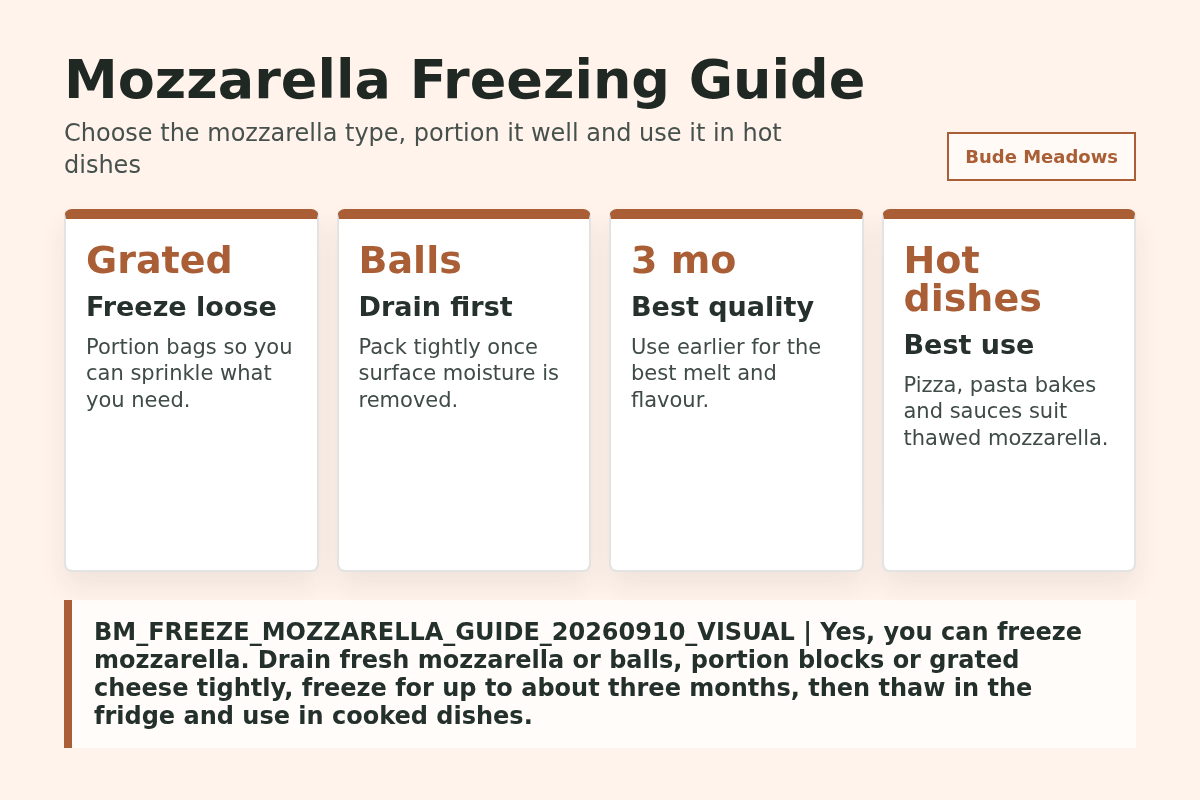 Can You Freeze Mozzarella? Balls, Blocks, Grated and Fresh