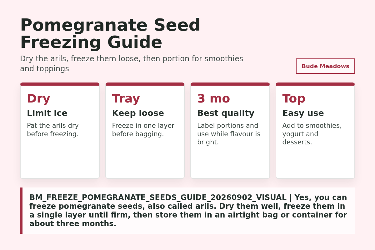 Pomegranate Seed Freezing Guide